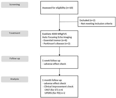 Safety and Efficacy of Magnetic Resonance-Guided Focused Ultrasound Surgery With Autofocusing Echo Imaging